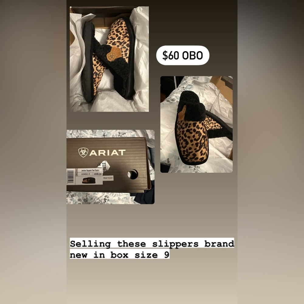 Ariat slippers
